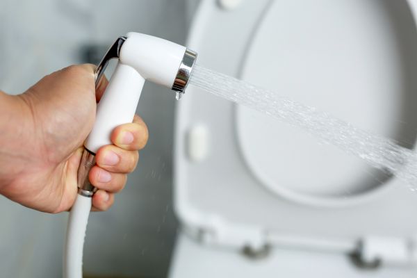 Bidet Installation in Waxhaw
