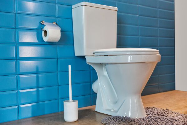 Toilet Tank Repair in Waxhaw